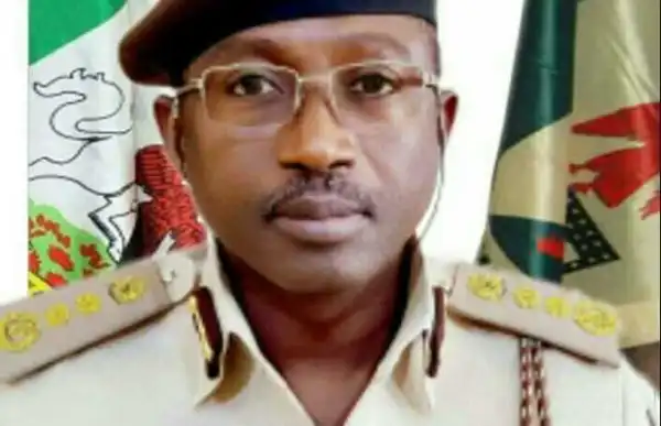 We have seized over 1000 diplomatic passports from ex-public officers – NIS CG